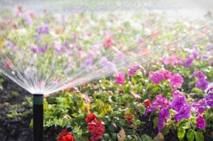 Irrigation